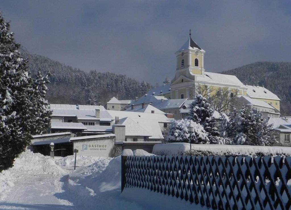 Gasthof Gruener Baum Kirchberg am Wechsel Exteriör bild