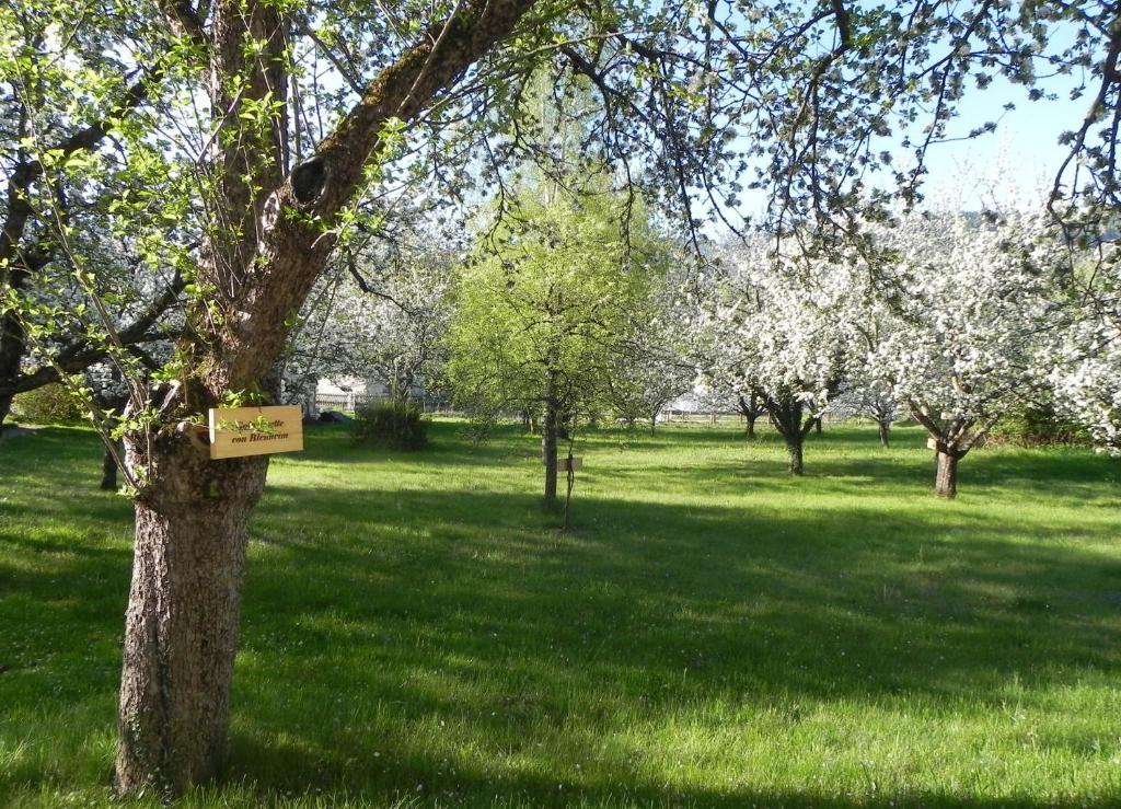 Gasthof Gruener Baum Kirchberg am Wechsel Exteriör bild